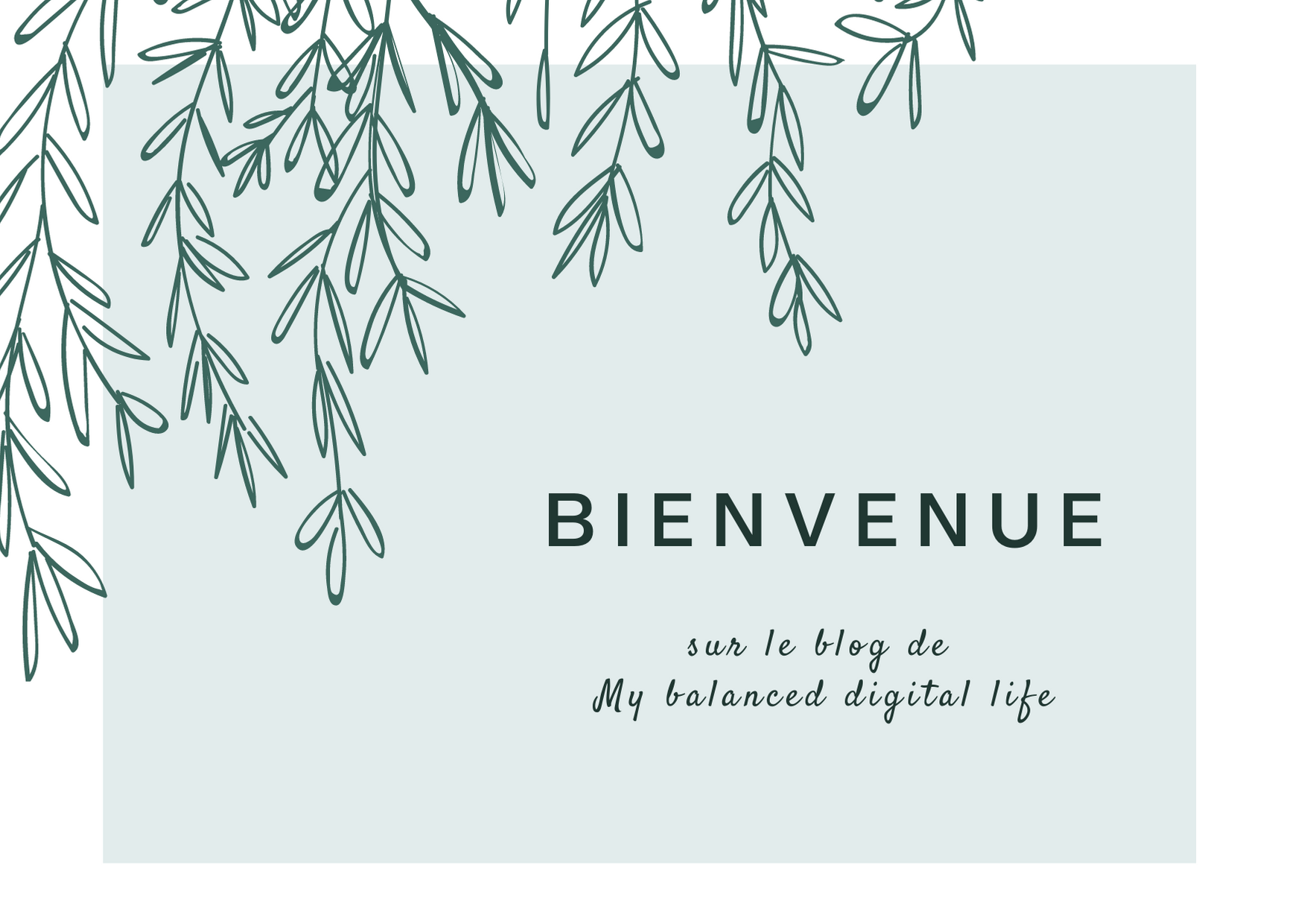 Bienvenue sur le blog de My balanced digital life